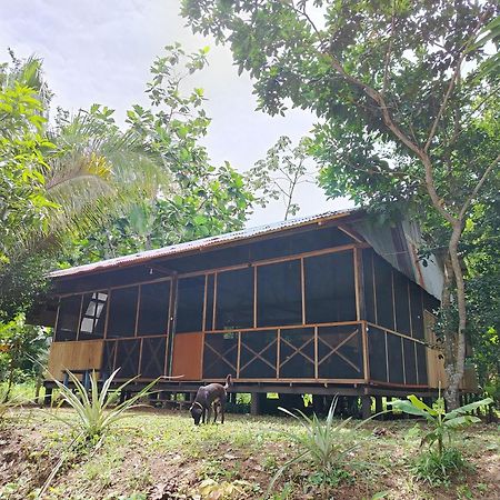 Don Jaime - Hostel Puerto Maldonado Exterior photo