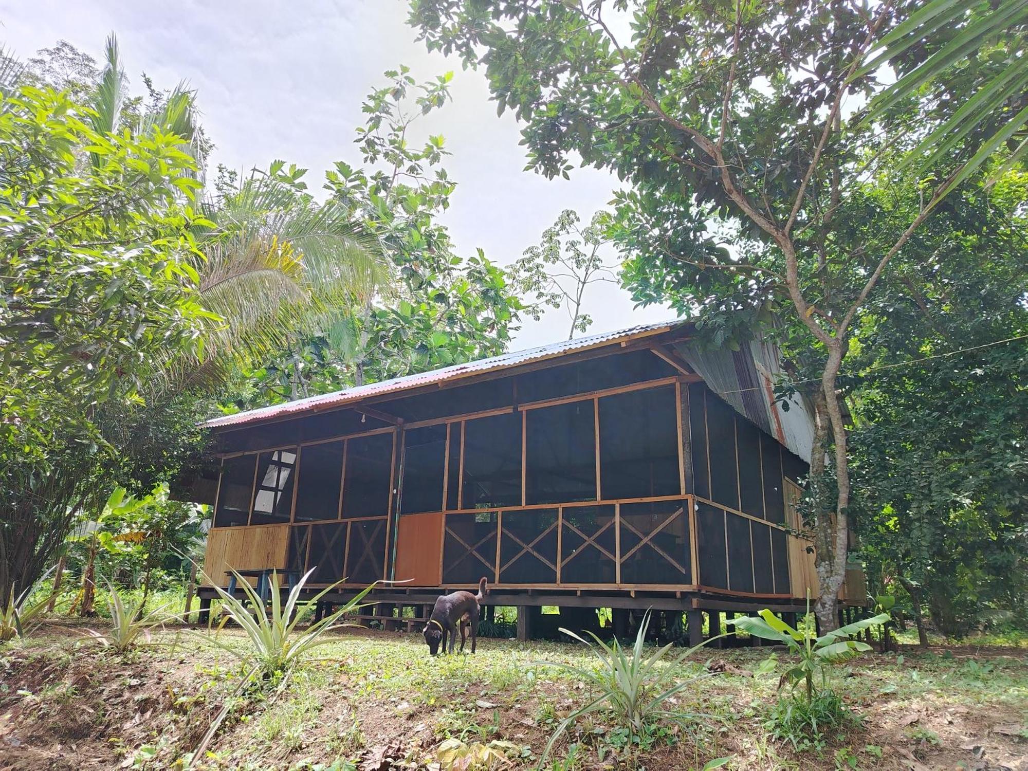 Don Jaime - Hostel Puerto Maldonado Exterior photo
